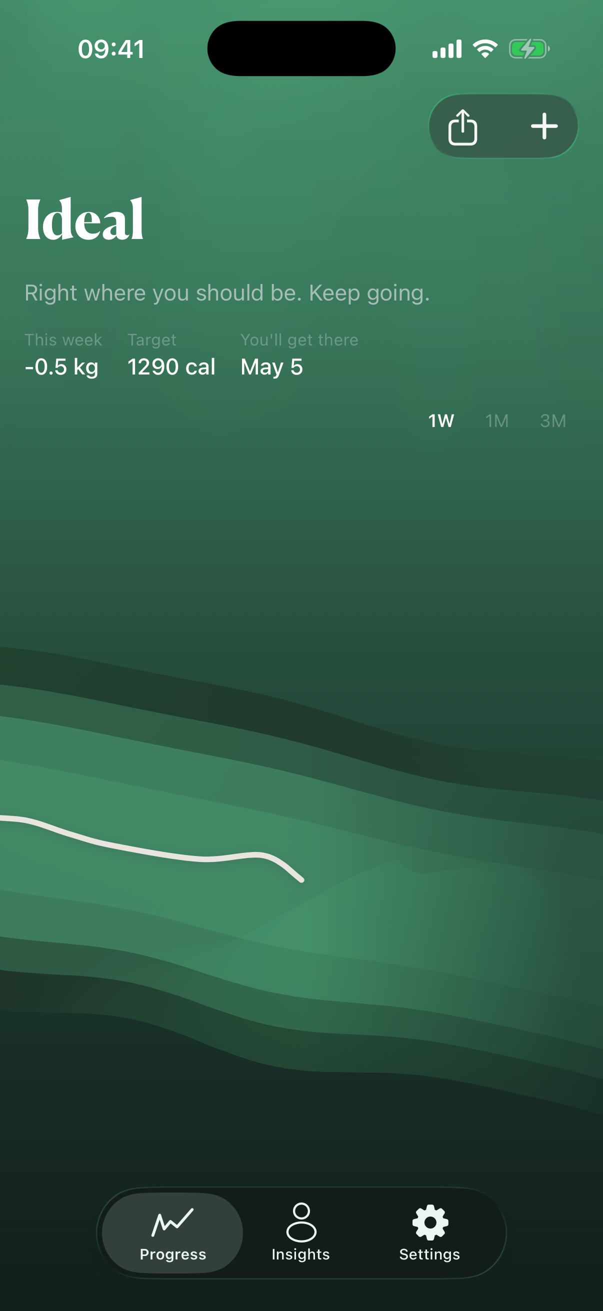Luff showing Ideal drift state